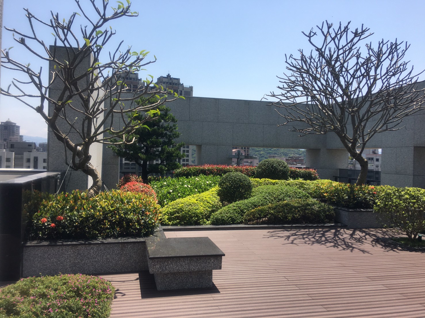 友座君綻